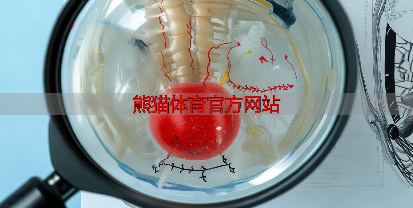 熊猫体育官方网站