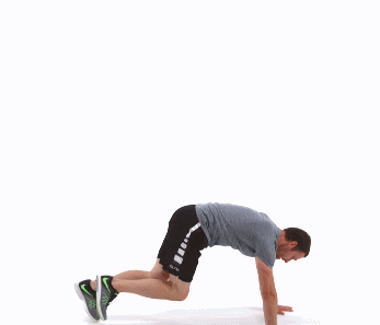 熊猫体育官方网站