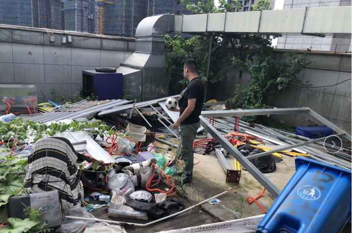 熊猫体育官方网站